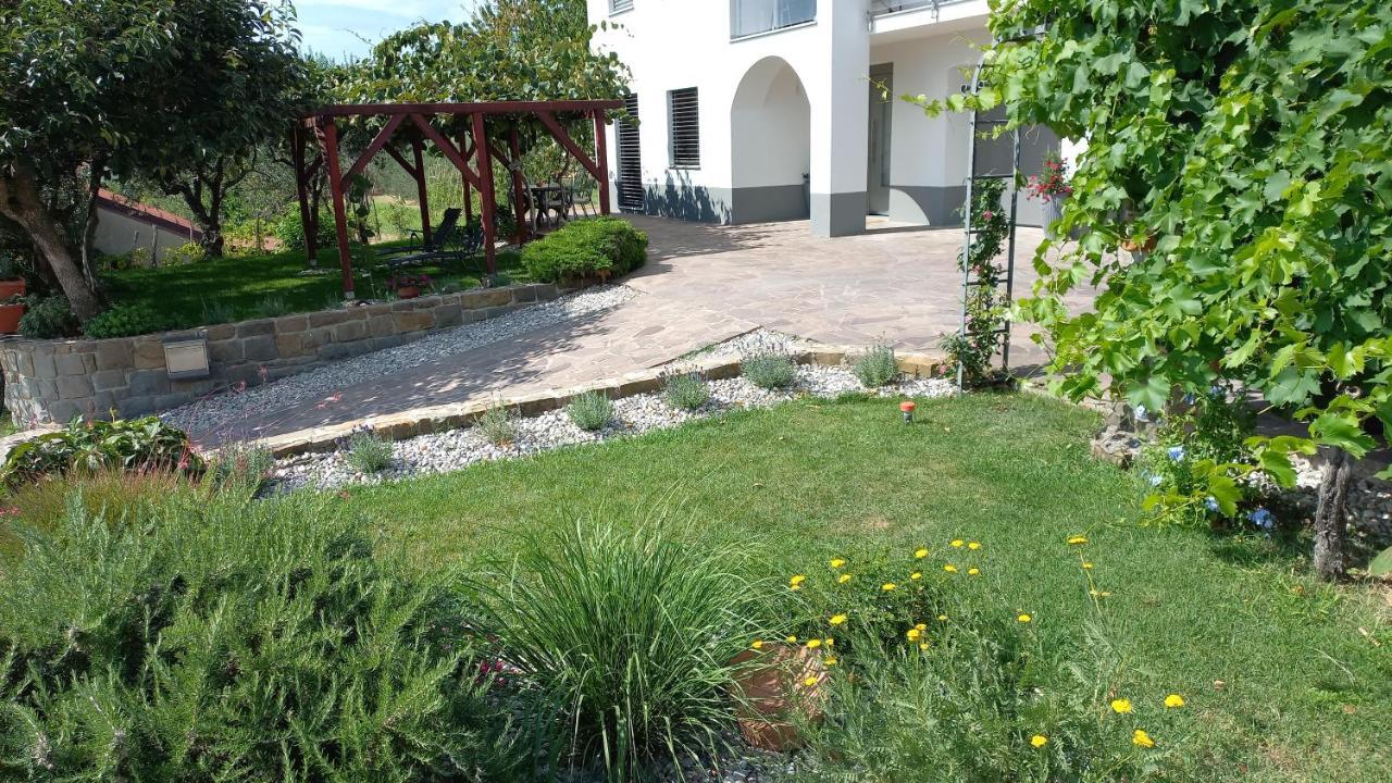 Apartma Nona Roza Zgornje Skofije ภายนอก รูปภาพ